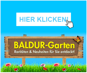 Zum Baldur Online Shop